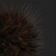 hair render test with curves